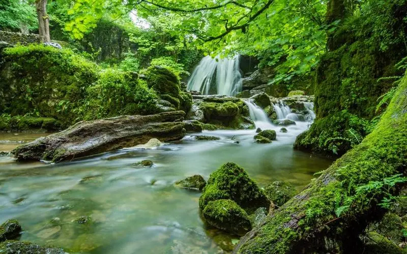高效智能系统精密